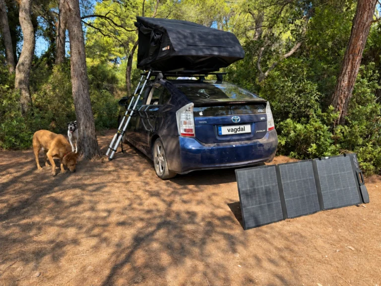 TentBox GO open on a blue Toyota Prius, with ladder, dogs and solar panel at camp.